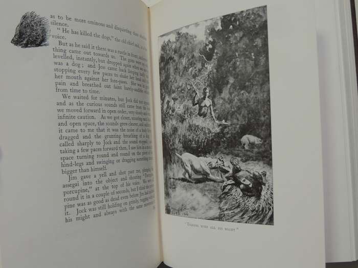 Jock of the Bushveld - Sir Percy Fitzpatrick - 1988