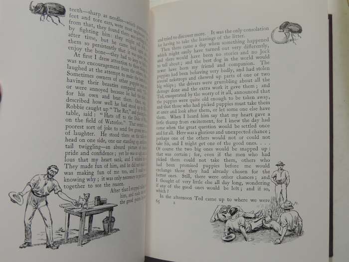 Jock of the Bushveld - Sir Percy Fitzpatrick - 1988