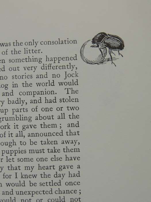 Jock of the Bushveld - Sir Percy Fitzpatrick - 1988