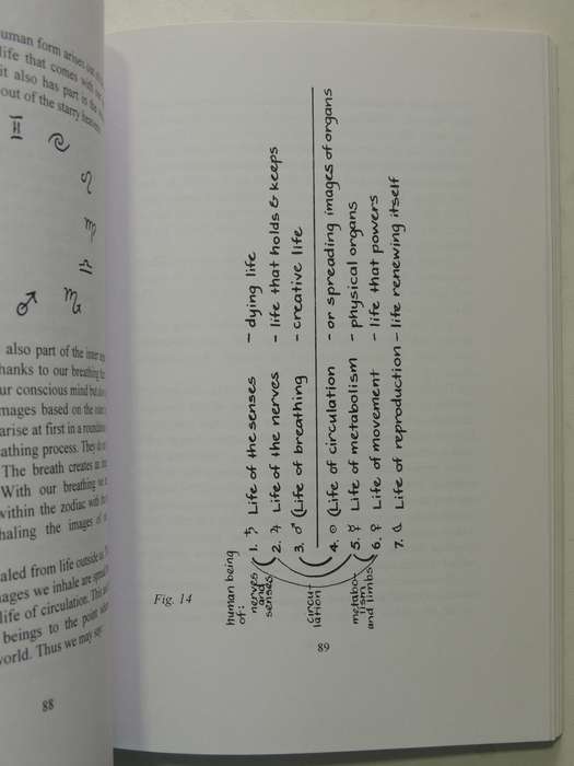 Cosmosophy: Volume 2: Cosmic Influences on the Human Being - Rudolf Steiner