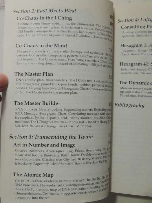 Tao of Chaos, DNA & The I Ching, Unlocking the Code of the Universe - Katya Walter