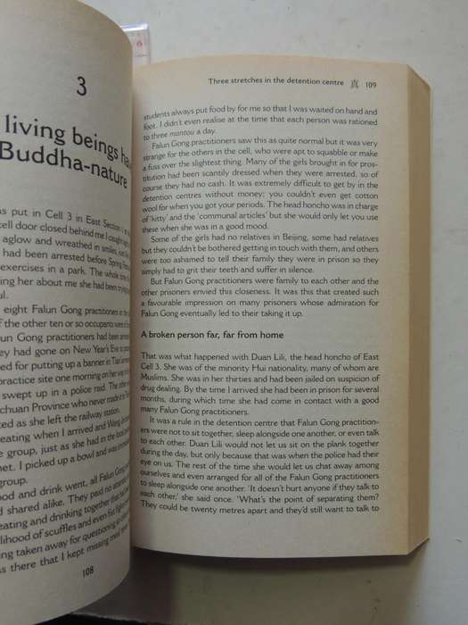 Witnessing History: One Woman's Fight For Freedom And The Falun Gong - Jennifer Zeng