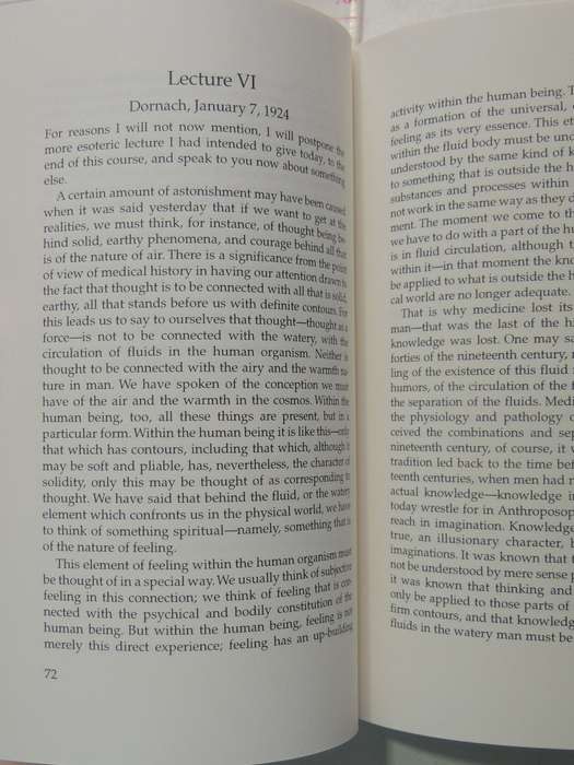 Course For Young Doctors - Rudolf Steiner