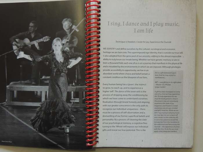 The Flamenco Fanatic: The Complete Guide - Rosana Maya