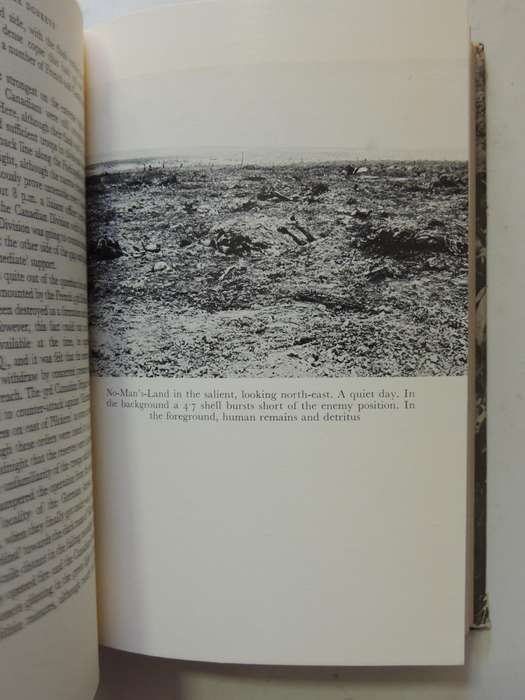 The Donkeys - Alan Clark