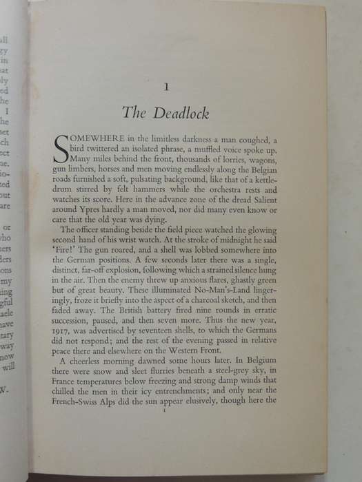 In Flanders Fields: The 1917 Campaign - Leon Wolff