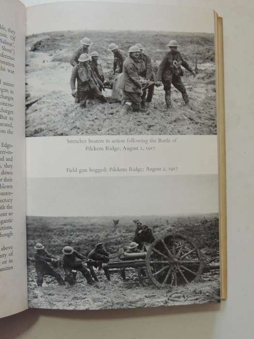In Flanders Fields: The 1917 Campaign - Leon Wolff