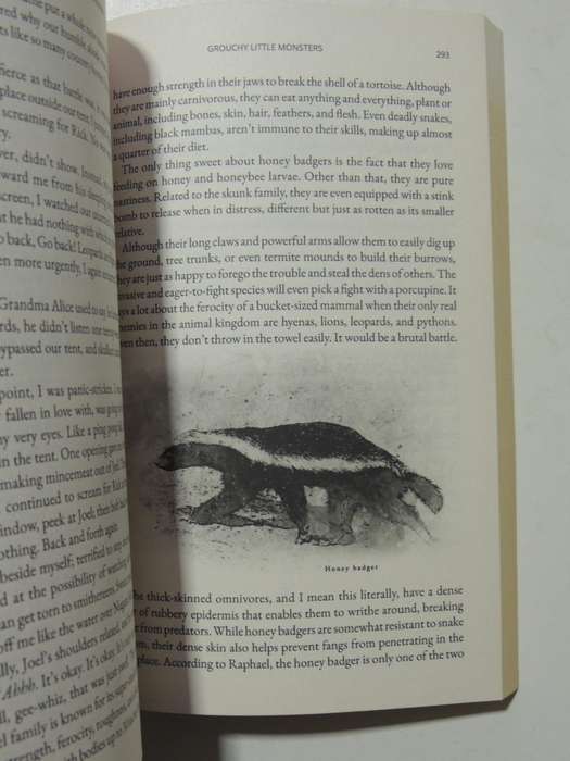 Cries Of The Savanna - Sue Tidwell