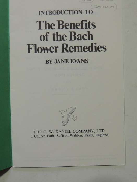 Introduction To The Benefits Of The Bach Flower Remedies - Jane Evans
