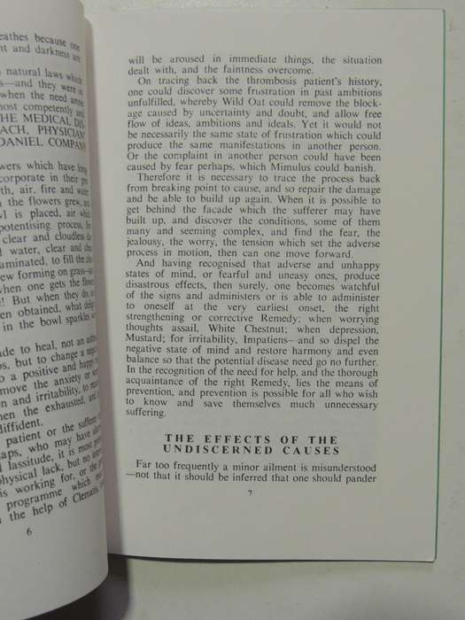 Introduction To The Benefits Of The Bach Flower Remedies - Jane Evans