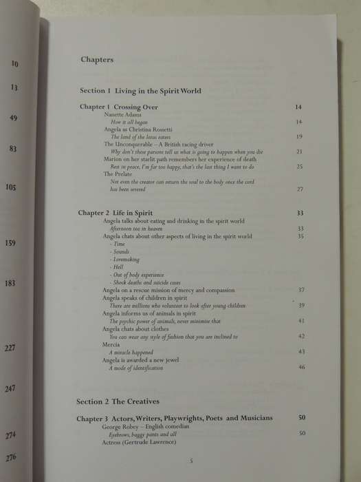 Afternoon Tea In Heaven: Conversations With The Spirit World As Experienced By Nanette AdamsNanette