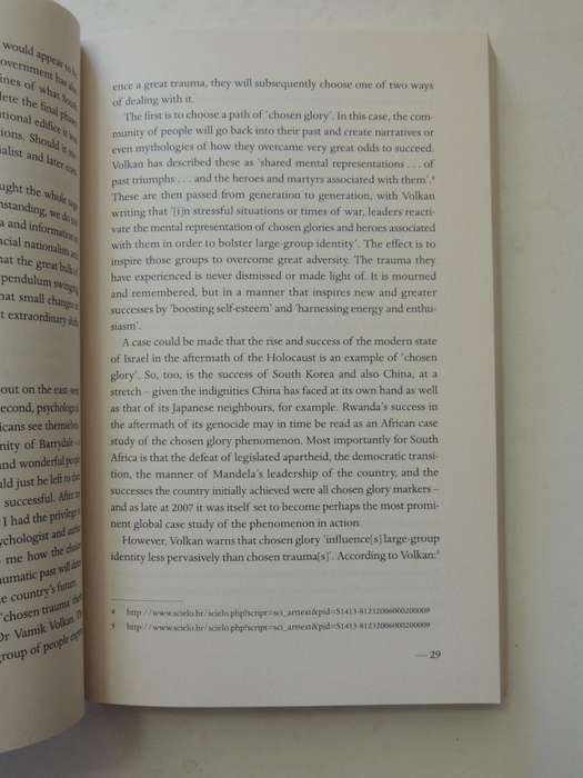The Rise Or Fall Of South Africa -  Frans Cronje