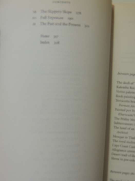 The African Experience, History of Civilization - Roland Olivier