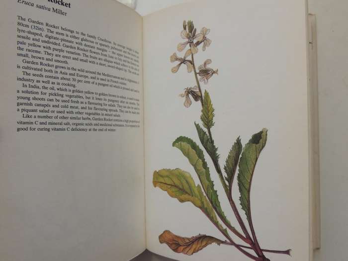 A Guide In Colour To Kitchen Herbs And Spices - Bohumir Hlava & Dagmar Lanska