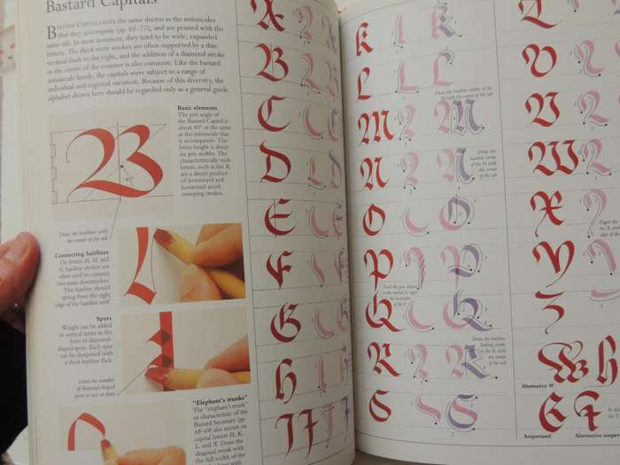The Art Of Calligraphy: A Practical Guide To The Skills And Techniques - David Harris