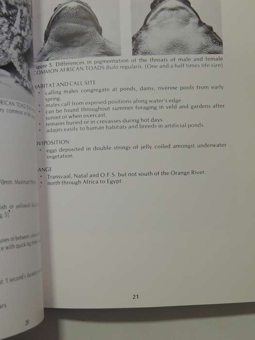 A Guide To The Identification Of TheFrogs Of The Witwatersrand - Vincent Carruthers