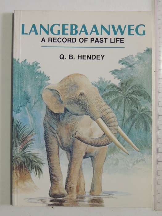 Langerbaanweg: A Record Of Past Life -  Q.B. Hendey