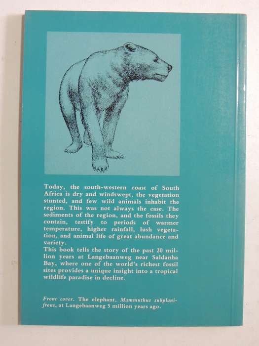 Langerbaanweg: A Record Of Past Life -  Q.B. Hendey