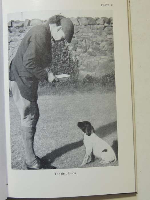 Gundogs: Their Care And Training  - Michael Brander