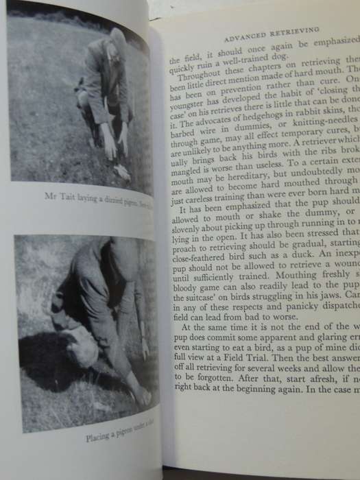 Gundogs: Their Care And Training  - Michael Brander