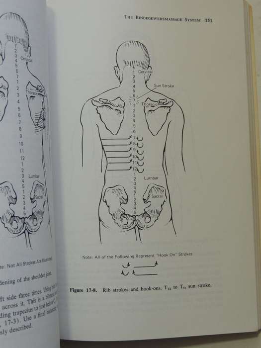 Healing Massage Techniques: A Study Of Eastern And Western Methods - Frances M. Tappan