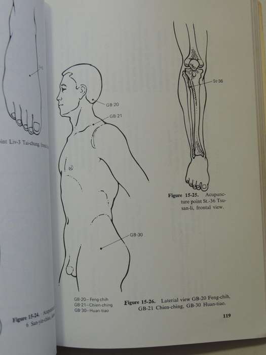 Healing Massage Techniques: A Study Of Eastern And Western Methods - Frances M. Tappan