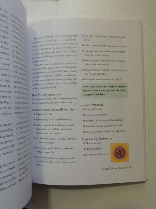 The Encyclopedia Of Bach Flower Therapy - Mechthild Scheffer