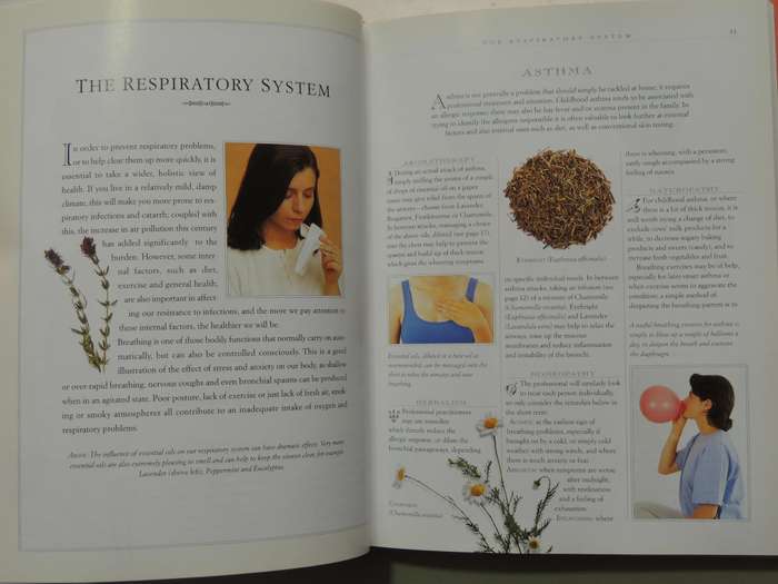 Natural Healing Remedies and Therapies - Mark Evans