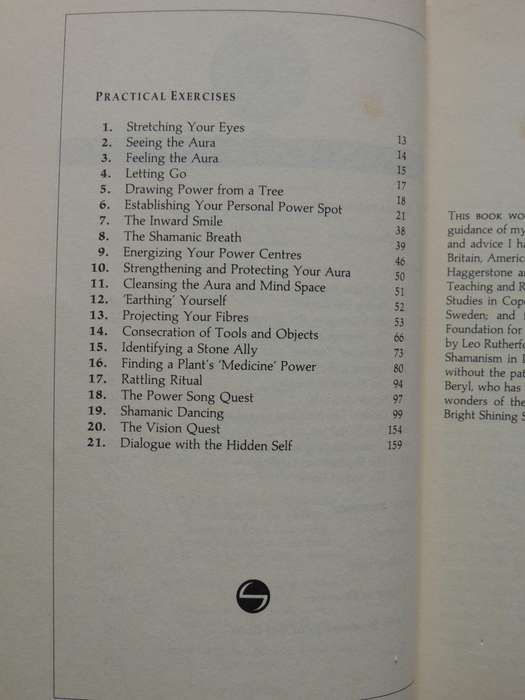 Shamanic Experience: A Practical Guide to Contemporary Shamanism (Earth Quest) - Kenneth Meadows