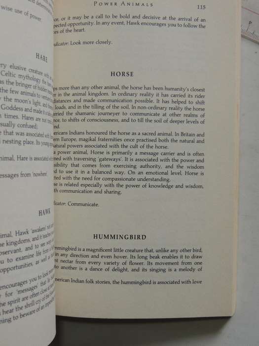 Shamanic Experience: A Practical Guide to Contemporary Shamanism (Earth Quest) - Kenneth Meadows