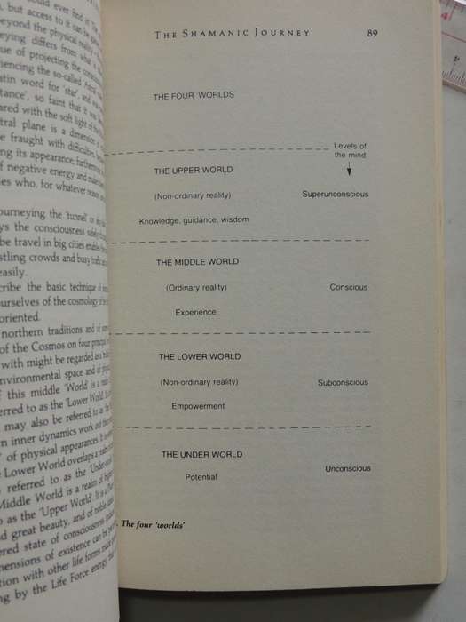 Shamanic Experience: A Practical Guide to Contemporary Shamanism (Earth Quest) - Kenneth Meadows