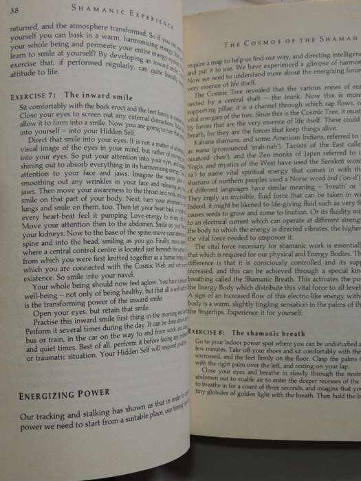 Shamanic Experience: A Practical Guide to Contemporary Shamanism (Earth Quest) - Kenneth Meadows