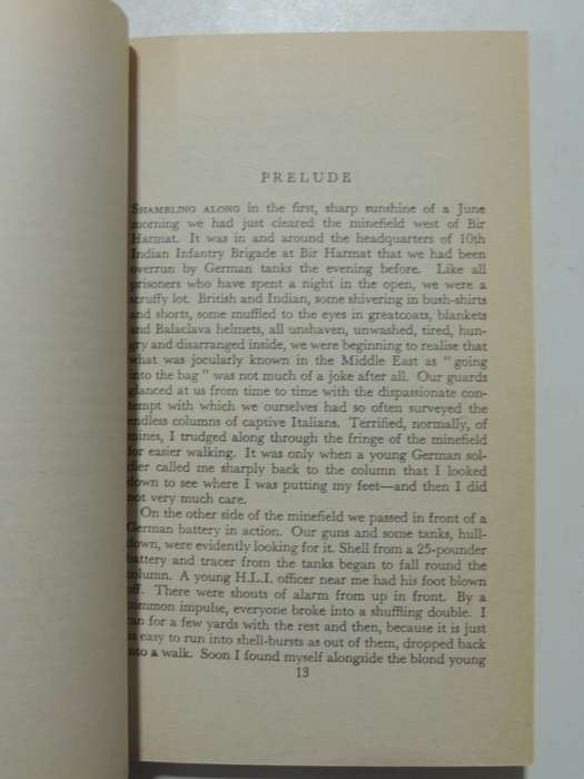 Rommel: The Desert Fox - Desmond Young