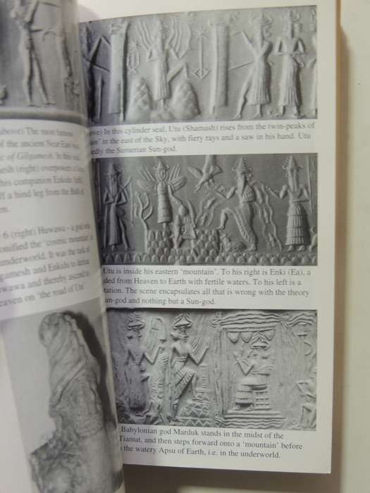 When The Gods Came Down: The Catastrophic Roots Of Religion Revealed - Alan F.Alford
