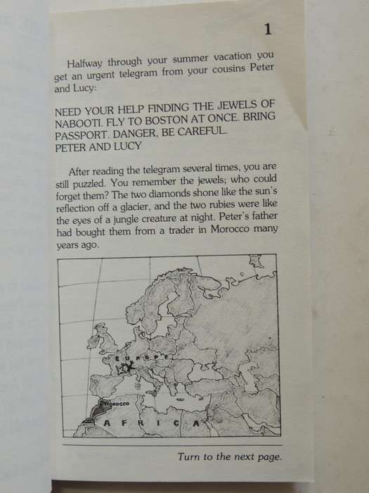 Choose Your Own Adventure 4: The Lost Jewels Of Nabooti - R.A. Montgomery  (slight water damage)