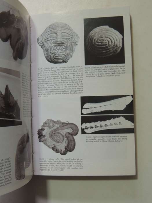Nether World - Robert Temple