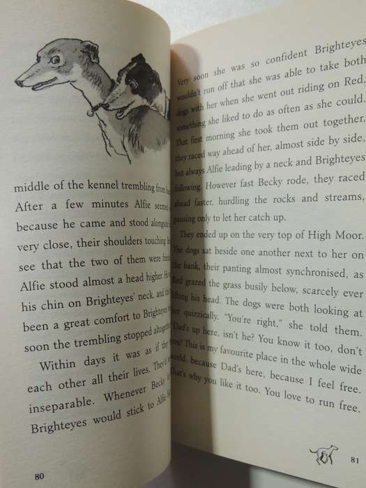 Born To Run - The many Lives Of One Incredible Dog - Michael Morpurgo