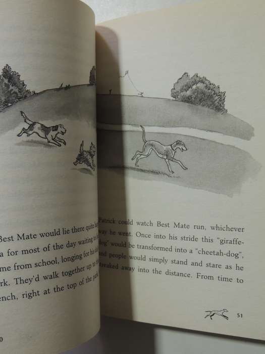Born To Run - The many Lives Of One Incredible Dog - Michael Morpurgo