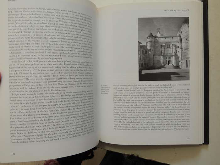Picasso: Architecture And Vertigo - Christopher Green