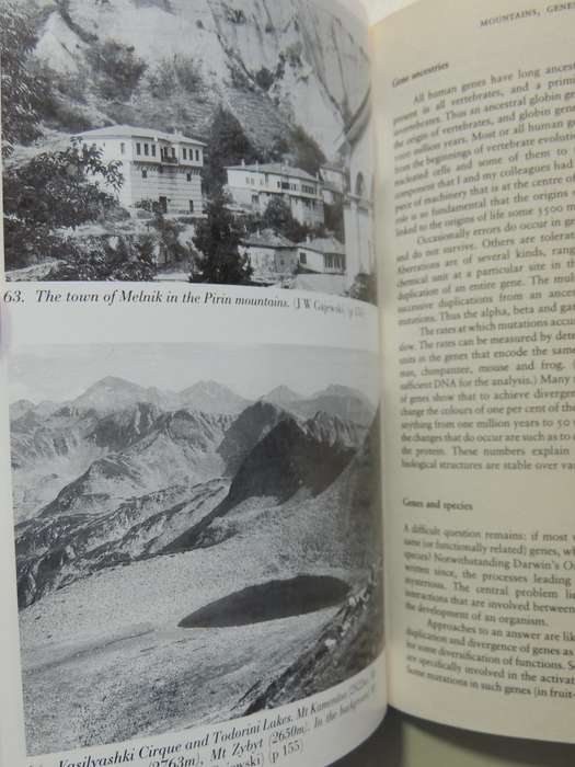 The Alpine Journal 1991/92