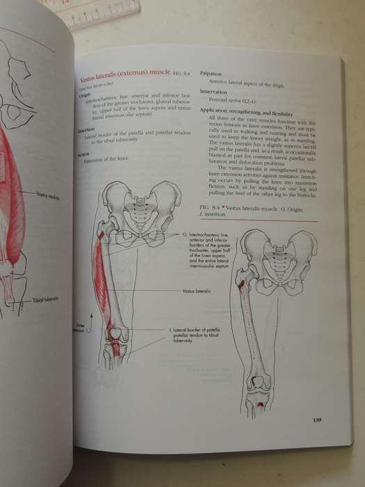 Manual Of Structural Kinesiology - R.T. Floyd & Clem W. Thompson  (Thirteenth Edition)