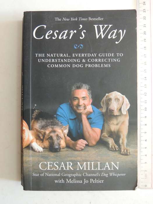 Cesar's Way ..Natural, Everyday Guide To Understanding & Correcting Common Dog ProblemsCesar Millan
