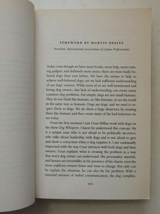 Cesar's Way ..Natural, Everyday Guide To Understanding & Correcting Common Dog ProblemsCesar Millan