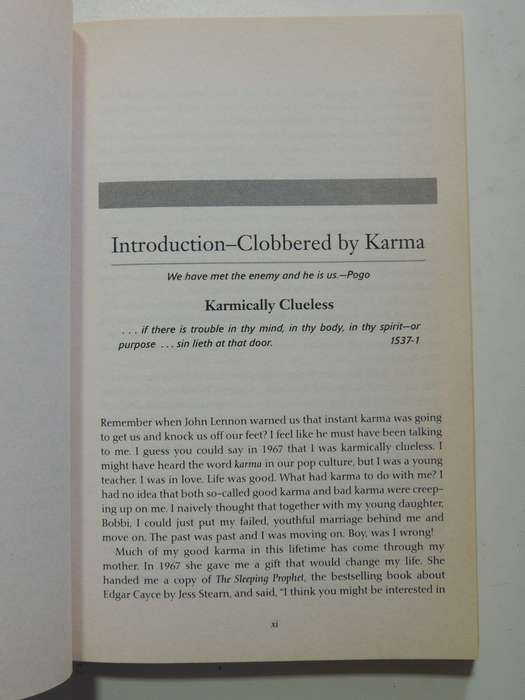 Past Lives & Present Karma - Ann Jaffin