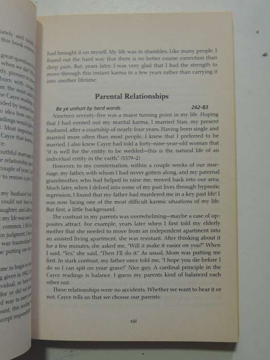 Past Lives & Present Karma - Ann Jaffin