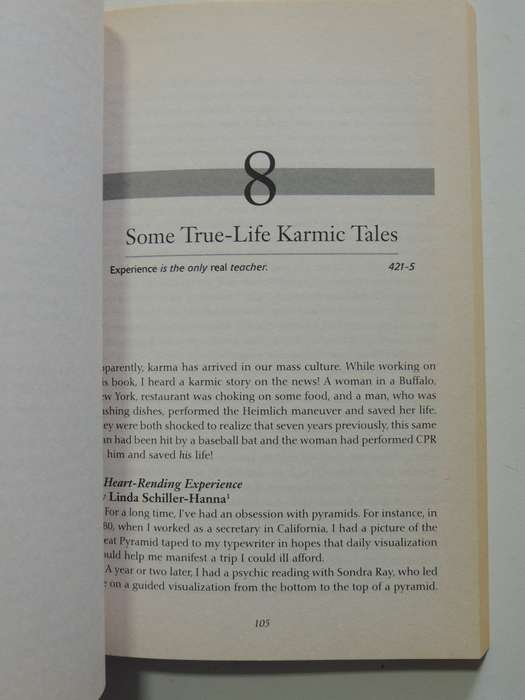 Past Lives & Present Karma - Ann Jaffin