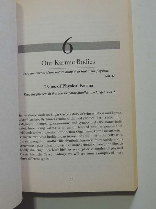 Past Lives & Present Karma - Ann Jaffin