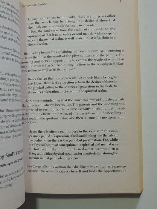 Past Lives & Present Karma - Ann Jaffin