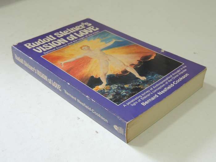 Rudolf Steiner's Vision Of Love: Spiritual Science And The Logic Of The Heart Bernard Nesfield-Cooks