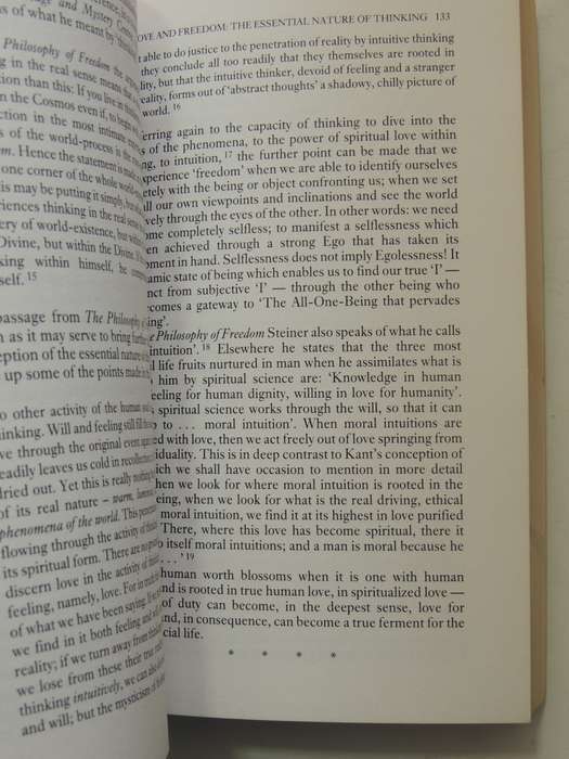 Rudolf Steiner's Vision Of Love: Spiritual Science And The Logic Of The Heart Bernard Nesfield-Cooks